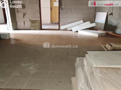 Prodej výrobní haly Děčín, Dělnická 1898 č. 29