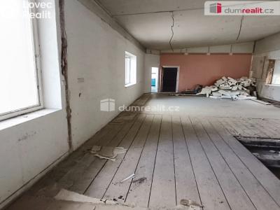 Prodej výrobní haly Děčín, Dělnická 1898 č. 33