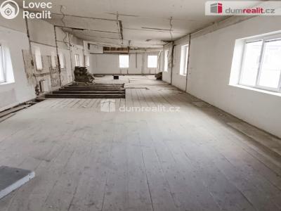 Prodej výrobní haly Děčín, Dělnická 1898 č. 35