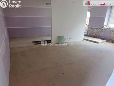 Prodej výrobní haly Děčín, Dělnická 1898 č. 36