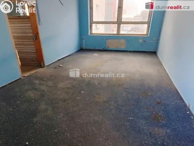 Prodej výrobní haly Děčín, Dělnická 1898 č. 39