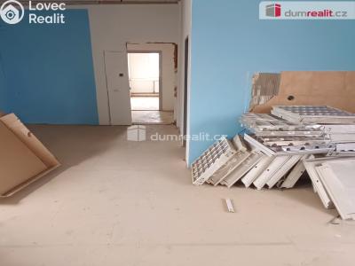 Prodej výrobní haly Děčín, Dělnická 1898 č. 41