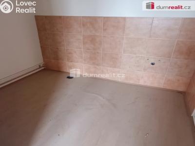 Prodej výrobní haly Děčín, Dělnická 1898 č. 43