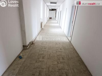 Prodej výrobní haly Děčín, Dělnická 1898 č. 45