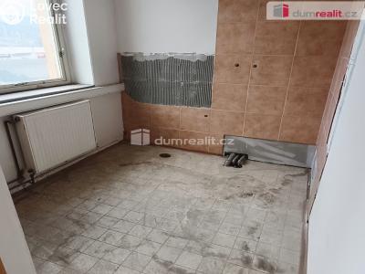 Prodej výrobní haly Děčín, Dělnická 1898 č. 51