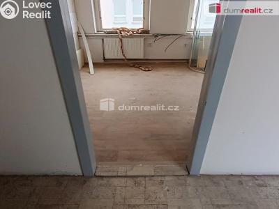 Prodej výrobní haly Děčín, Dělnická 1898 č. 55