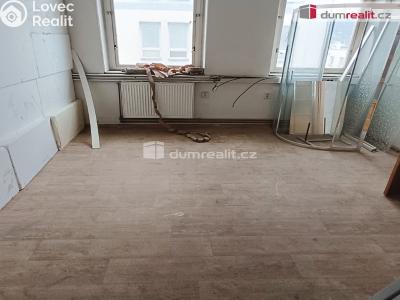 Prodej výrobní haly Děčín, Dělnická 1898 č. 56