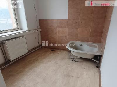 Prodej výrobní haly Děčín, Dělnická 1898 č. 57