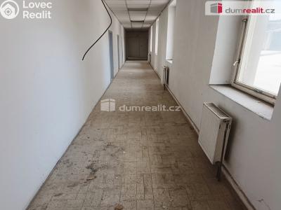 Prodej výrobní haly Děčín, Dělnická 1898 č. 58