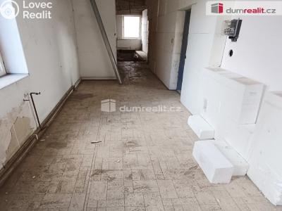 Prodej výrobní haly Děčín, Dělnická 1898 č. 64