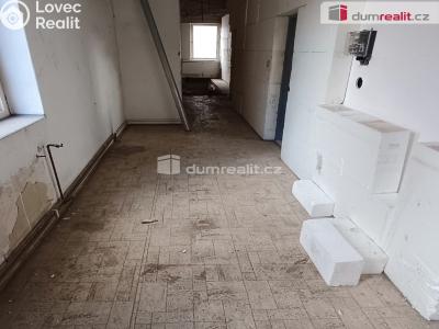 Prodej výrobní haly Děčín, Dělnická 1898 č. 65