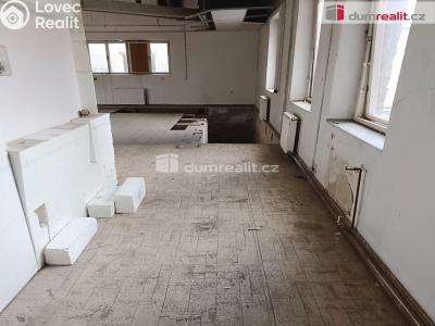 Prodej výrobní haly Děčín, Dělnická 1898 č. 66