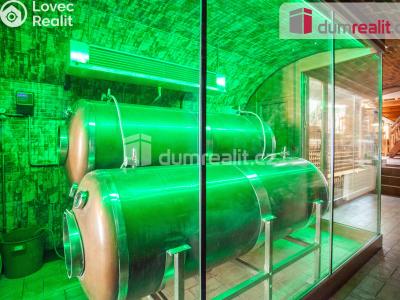 Pronájem restaurace České Budějovice, Karla IV. 103 č. 33