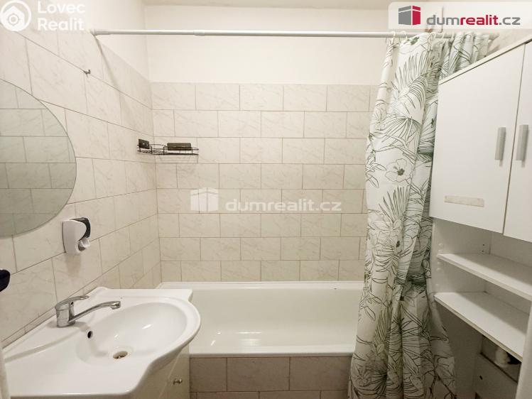 Pronájem bytu 2+1 Ústí nad Labem, Důlce 9 č. 5