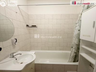 Pronájem bytu 2+1 Ústí nad Labem, Důlce 9 č. 6