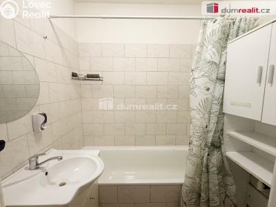 Pronájem bytu 2+1 Ústí nad Labem, Důlce 9 č. 5