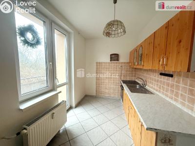 Pronájem bytu 2+1 Ústí nad Labem, Důlce 9 č. 1