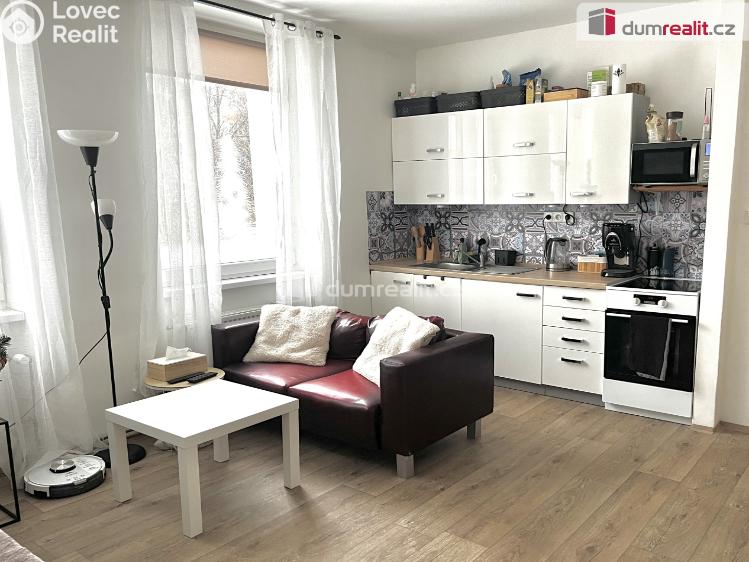 Pronájem bytu 1+1 Ústí nad Labem, Kosmonautů 571 č. 1