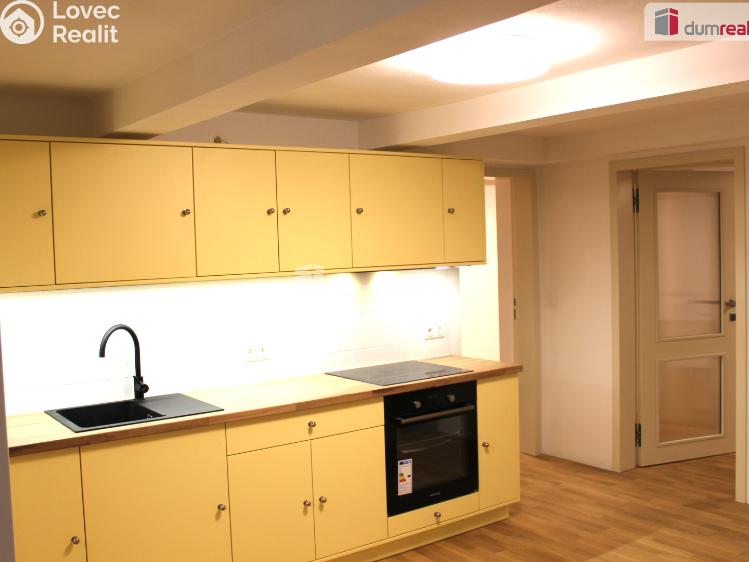 Pronájem bytu 3+KK Plzeň, Mírová 1987 č. 2