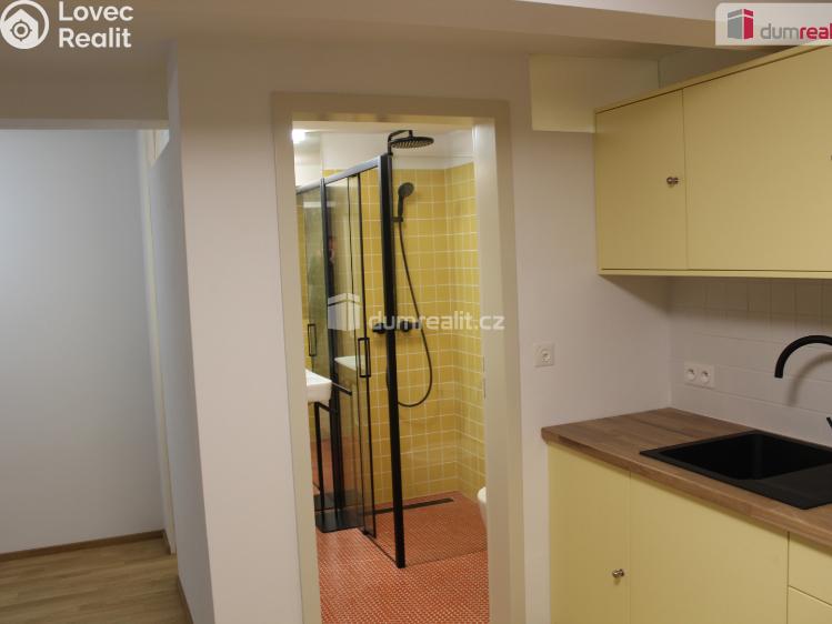 Pronájem bytu 3+KK Plzeň, Mírová 1987 č. 4