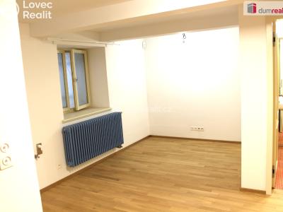 Pronájem bytu 3+KK Plzeň, Mírová 1987 č. 3