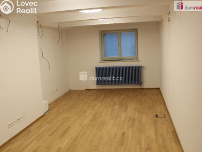 Pronájem bytu 3+KK Plzeň, Mírová 1987 č. 7