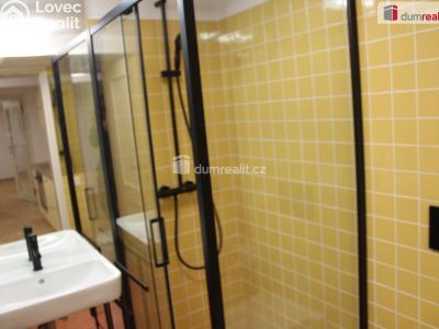 Pronájem bytu 3+KK Plzeň, Mírová 1987 č. 10