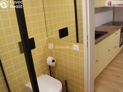 Pronájem bytu 3+KK Plzeň, Mírová 1987 č. 11