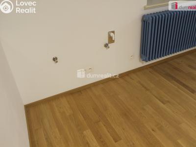 Pronájem bytu 3+KK Plzeň, Mírová 1987 č. 12