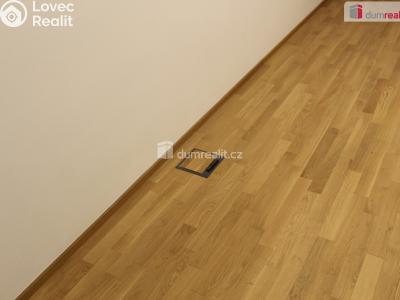 Pronájem bytu 3+KK Plzeň, Mírová 1987 č. 13