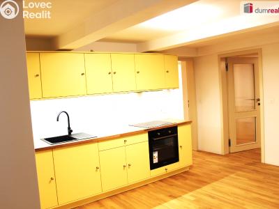 Pronájem bytu 3+KK Plzeň, Mírová 1987 č. 1