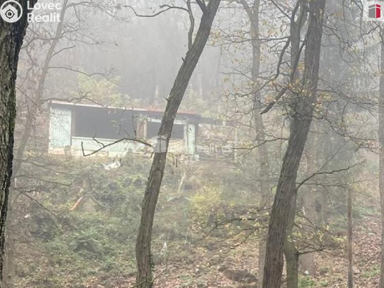 Prodej pozemku Zdiby, Draháňské údolí 0 č. 5