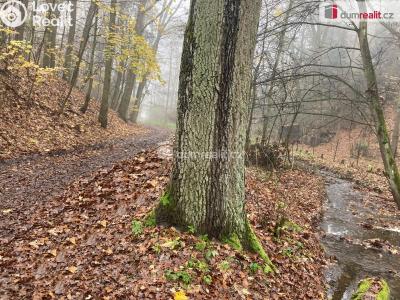 Prodej pozemku Zdiby, Draháňské údolí č. 11