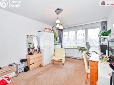 Prodej rodinného domu Stradonice č. 4