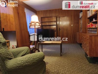 Pronájem bytu 1+KK Poděbrady, Dr. Filipa 669 č. 3