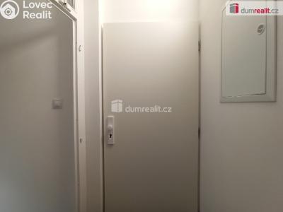 Pronájem bytu 2+1 Karlovy Vary, Lesní 255 č. 13