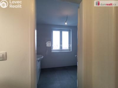 Pronájem bytu 2+1 Karlovy Vary, Lesní 255 č. 15