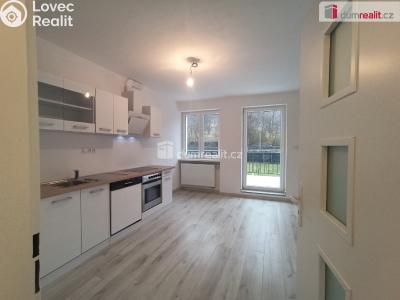 Pronájem bytu 2+1 Karlovy Vary, Lesní 255 č. 19