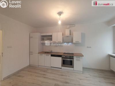 Pronájem bytu 2+1 Karlovy Vary, Lesní 255 č. 21