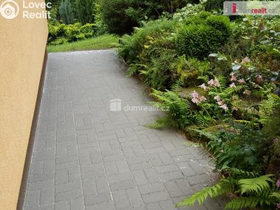 Pronájem chaty Nejdek č. 8