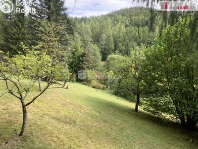 Pronájem chaty Nejdek č. 6