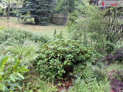 Pronájem chaty Nejdek č. 11