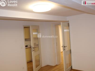 Pronájem komerční nemovitosti Plzeň, Mírová 1987 č. 7