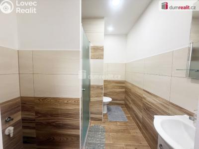 Pronájem bytu 1+KK Ústí nad Labem, Neštěmická 726 č. 4