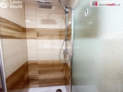 Pronájem bytu 1+KK Ústí nad Labem, Neštěmická 726 č. 5