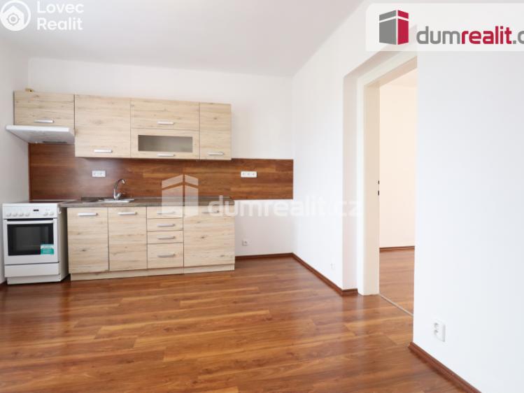 Pronájem bytu 1+1 Dalovice, Borská 49 č. 2