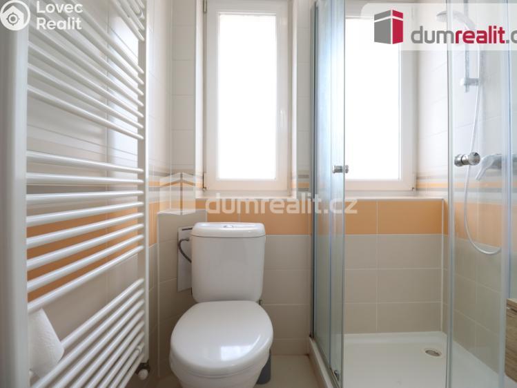 Pronájem bytu 1+1 Dalovice, Borská 49 č. 4