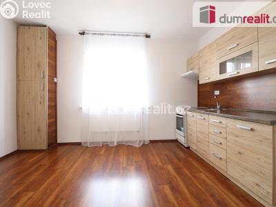 Pronájem bytu 1+1 Dalovice, Borská 49 č. 1