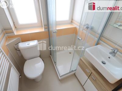 Pronájem bytu 1+1 Dalovice, Borská 49 č. 3