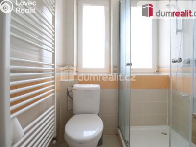 Pronájem bytu 1+1 Dalovice, Borská 49 č. 4